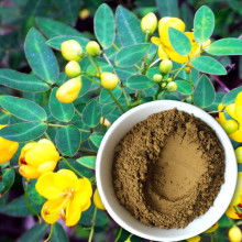 西安奧威有機(jī)科技 傳承本草精華，賦能健康生活